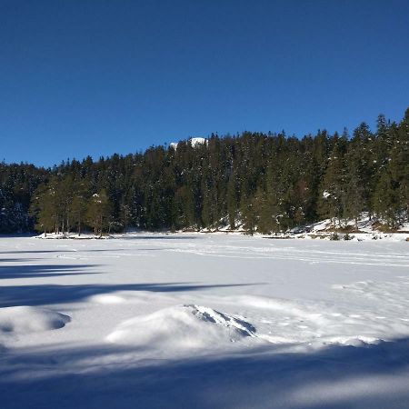 Haus Senn Apartment Seefeld in Tirol Bagian luar foto
