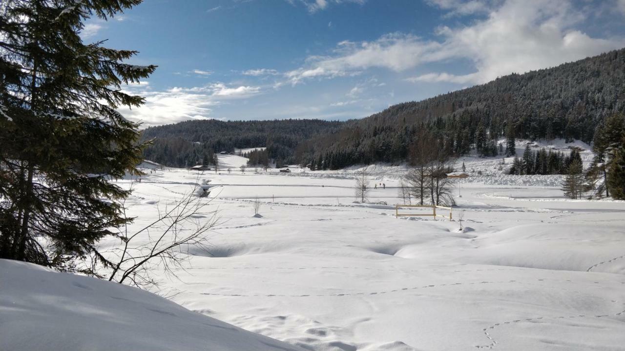 Haus Senn Apartment Seefeld in Tirol Bagian luar foto