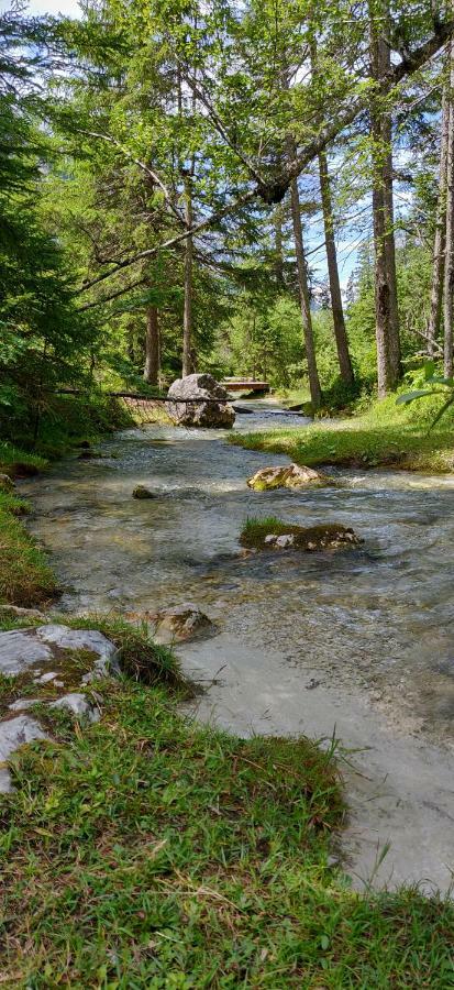 Haus Senn Apartment Seefeld in Tirol Bagian luar foto